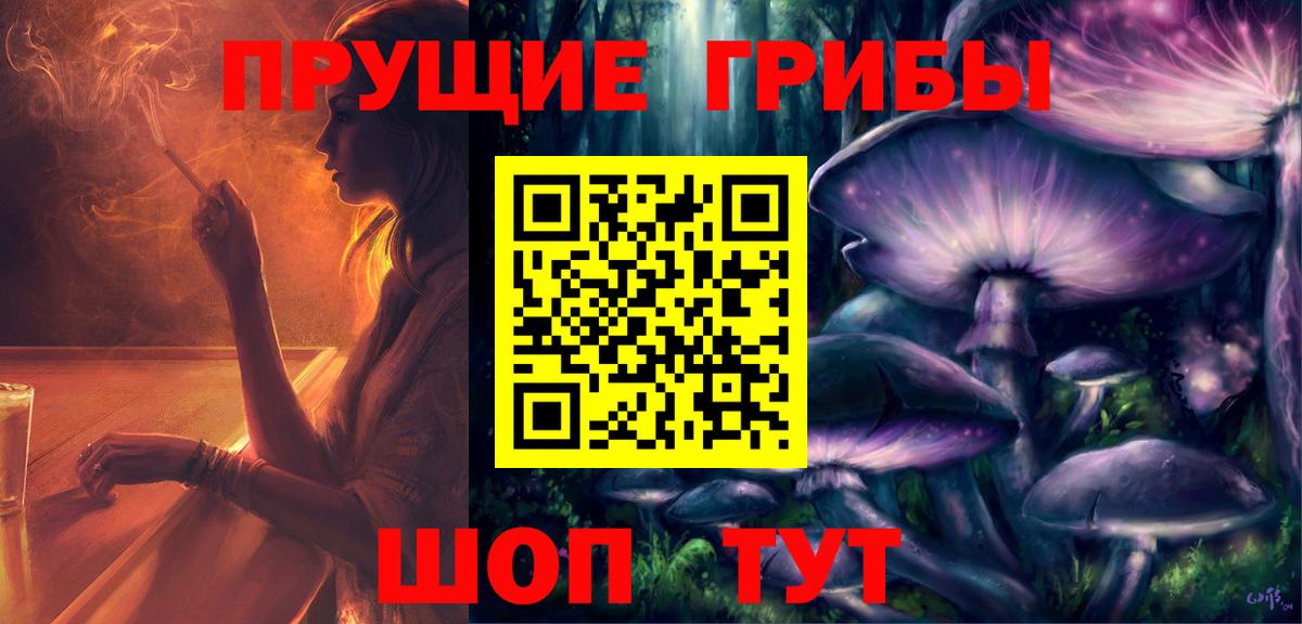 Галлюциногенные грибы Psilocybine cubensis  Вход с VPN  Дальнегорск 